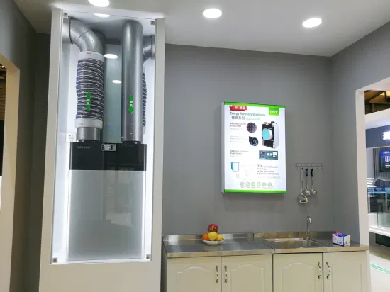 Recuperatore di calore per scambiatore di calore in controcorrente ad alta efficienza per cena in fabbrica Holtop China Phe